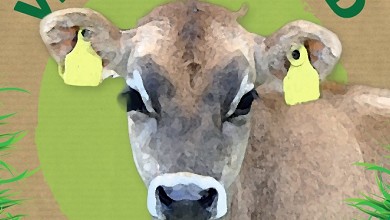 Velfærdskød  - Møn